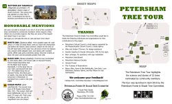 Petersham Tree Tour