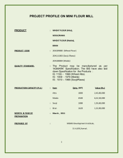 project profile on mini flour mill