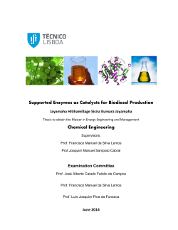 Supported Enzymes as Catalysts for Biodiesel Production Chemical