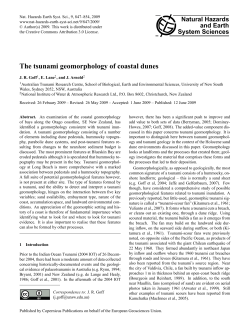 The tsunami geomorphology of coastal dunes