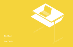 Bird Desk + Sam Tanis