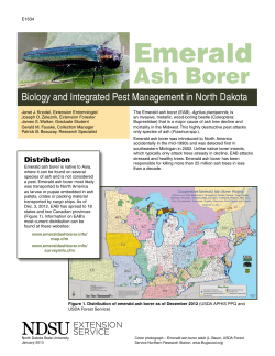 Emerald Ash Borer: Biology and Integrated Pest