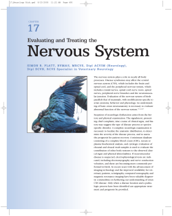 Evaluating and Treating the Nervous System