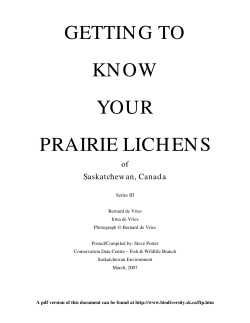 getting to know your prairie lich en s