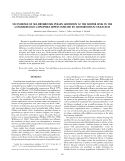 no evidence of sex-differential pollen limitation at the flower level in