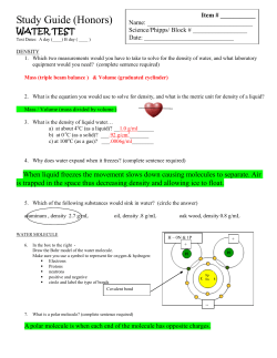 Study Guide (Honors)