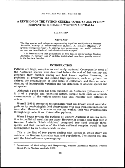 A REVISION OF THE PYTHON GENERA ASPIDITES AND PHYTHON