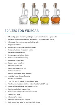 50 uses for vinegar - Return to Stillness