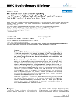 The evolution of nuclear auxin signalling | BMC Evolutionary Biology