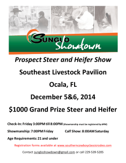 Prospect Steer and Heifer Show Southeast Livestock Pavilion Ocala