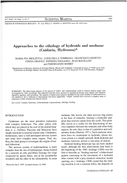 Approaches to the ethology of hydroids and medusae