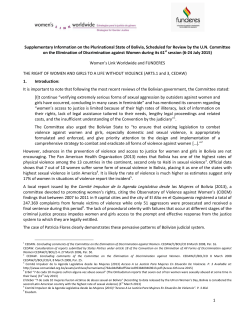 1 Supplementary Information on the Plurinational State of Bolivia