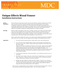 Unique Effects Wood Veneer