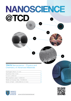 Nanoscience Brochure - Trinity College Dublin