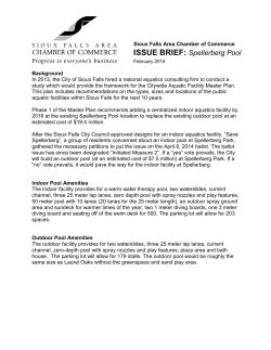 ISSUE BRIEF: Spellerberg Pool