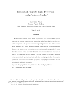 Intellectual Property Right Protection in the Software Market