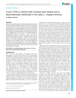 Cyclin CYB-3 controls both S-phase and mitosis and