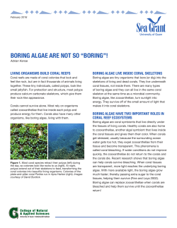 boring algae are not so &ldquo;boring&rdquo;! - www.CNAS