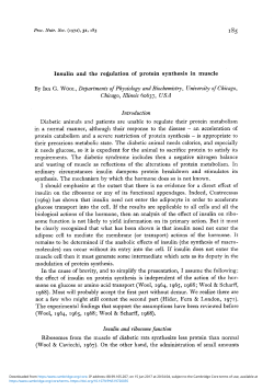 Insulin and the regulation of protein synthesis in muscle