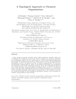 A Topological Approach to Chemical Organizations