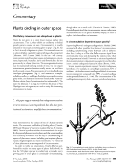 New insights into bordered pit structure and cavitation resistance in