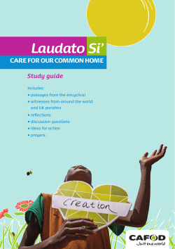 Laudato Si