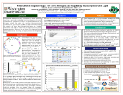 NitroGENIUS: Engineering E. coli to Fix Nitrogen and