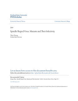 Spindle Shaped Virus: Mutants and Their Infectivity