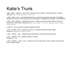 katie trunk wizard pic.cwk (WP)