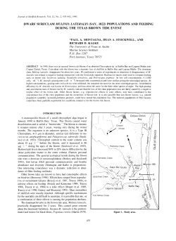 dwarf surfclam mulinia lateralis (say, 1822) populations and feeding