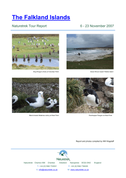 The Falkland Islands