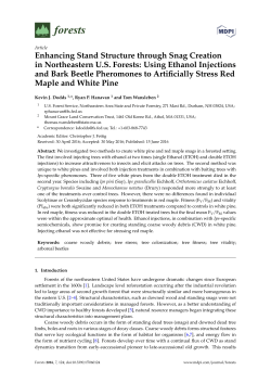 Enhancing Stand Structure through Snag Creation in Northeastern