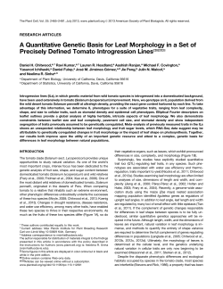 A Quantitative Genetic Basis for Leaf Morphology in
