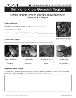 Grade 4-5 Scavenger Hunt - Fernbank Museum of Natural History