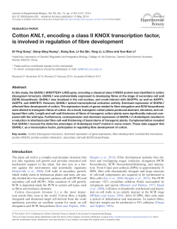 Cotton KNL1, encoding a class II KNOX transcription factor, is