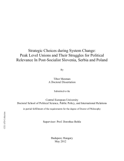 Strategic Choices during System Change: Peak Level Unions and