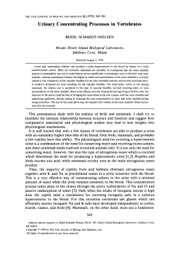 Urinary Concentrating Processes inVertebrates