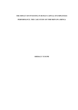 the impact of investing in human capital on employees performance