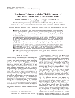 Detection and Preliminary Analysis of Motifs in
