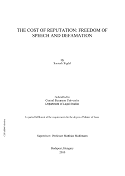 the cost of reputation: freedom of speech and defamation