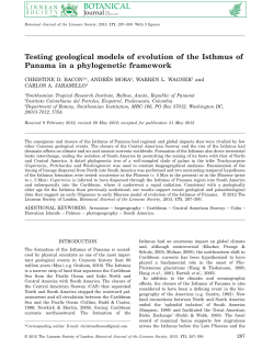 Testing geological models of evolution of the