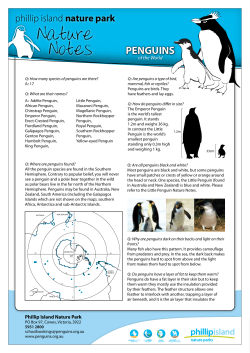Nature Notes - Phillip Island Nature Parks