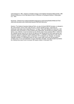 Labuschagne W. 1981. Aspects of cheetah ecology in the Kalahari