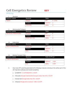 AP Biology - LangdonBiology.org