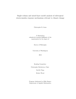 Single-column and mixed-layer model analysis of subtropical