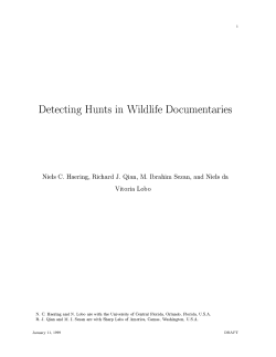 Detecting Hunts in Wildlife Documentaries - CRCV