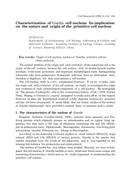 Characterization of Giardia cell nucleus: Its implication on the nature
