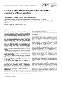 Control of phosphate transport across the plasma membrane of