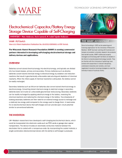 Electrochemical Capacitor/Battery Energy Storage Device Capable