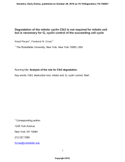 Degradation of the Mitotic Cyclin Clb3 Is Not Required for Mitotic Exit